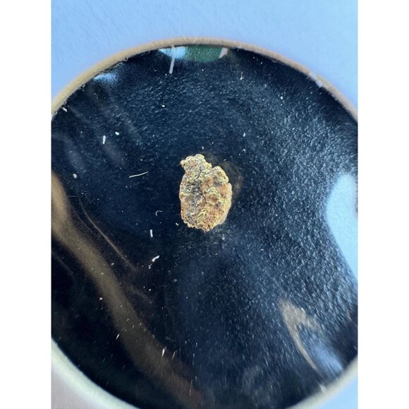 Arizona Gold Nugget - American Mined Gold - Genuine Gold Specimen 0.09 grams #33 - Picture 7 of 7